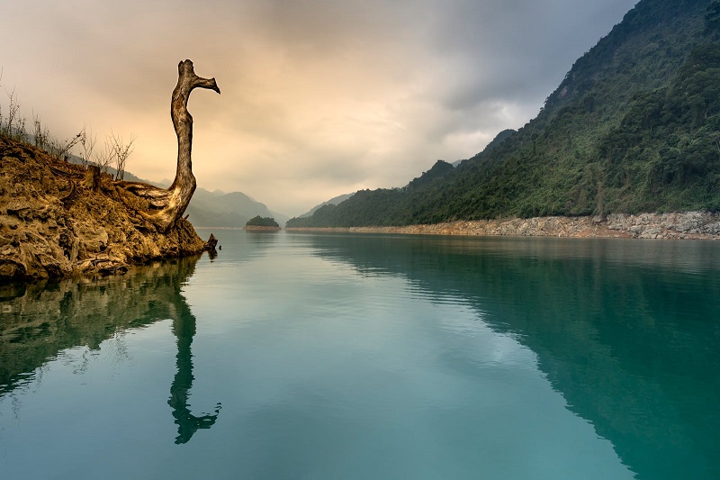 1693055106616321.jpg 174.jpg